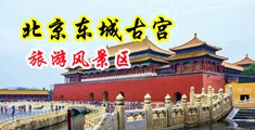 高清操逼射精视频对白中文中国北京-东城古宫旅游风景区